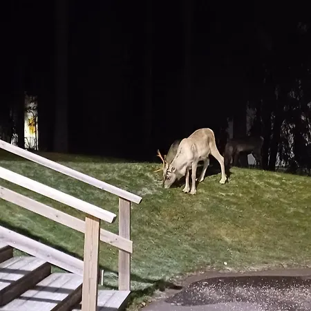 Peaceful Flat Near Nature & City, Bus Connections To The Center & Scv! Rovaniemi